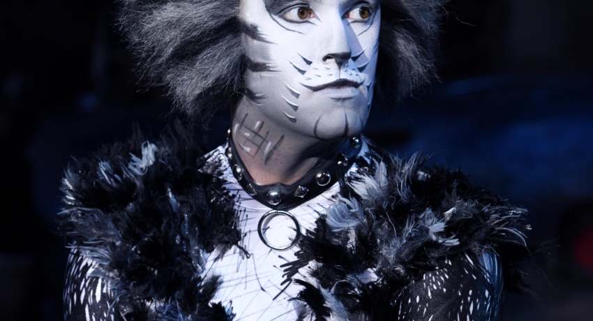 cats3-foto-08-credit-alessandro-pinna_C - Musical-München-Cats