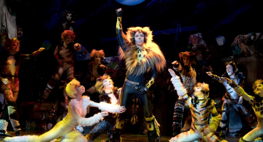 cats3-foto-09-credit-alessandro-pinna_C - Musical-München-Cats