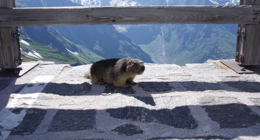 GEFGROS 2 - Großglockner mit Zell am See
