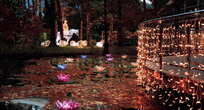 GEFMELU 1_C_Stefan Mahlknecht - Schloss Trauttmansdorff-Lumagica