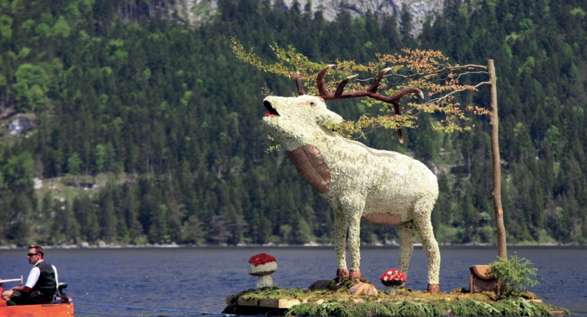 GEFNARZ 3_C_Narzissenfestverein - Narzissenfest im Ausseerland