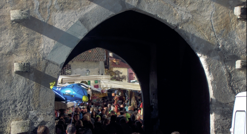 GEFSEAL Haupt - Sealamarkt