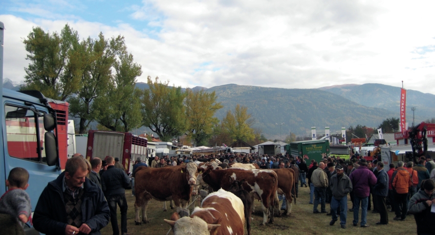 GEFSTEG 2_C_Laubenkomitee - E - Stegener Markt