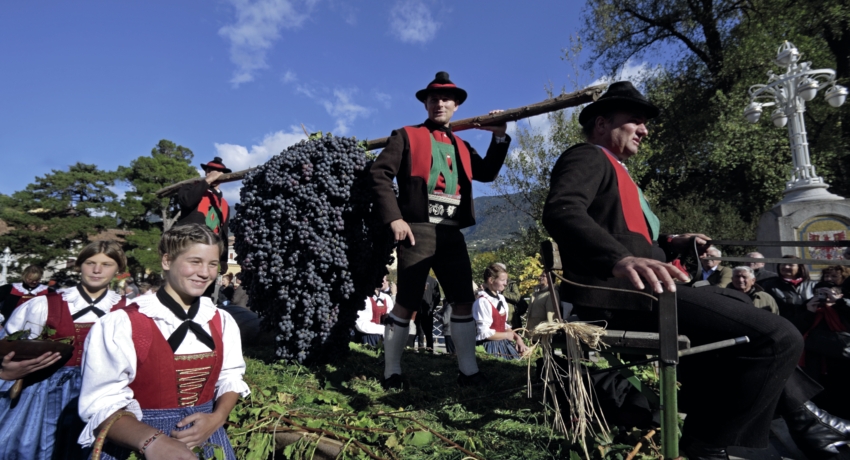 GEFTRAU 1 - Traubenfest in Meran