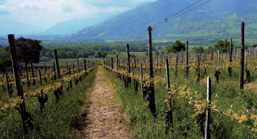 GRUBERN 3 - Erlebnisreise 