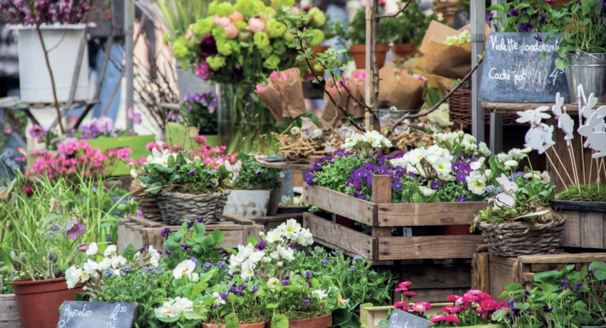 GRUELSA 3 - Elsass und Strasbourg