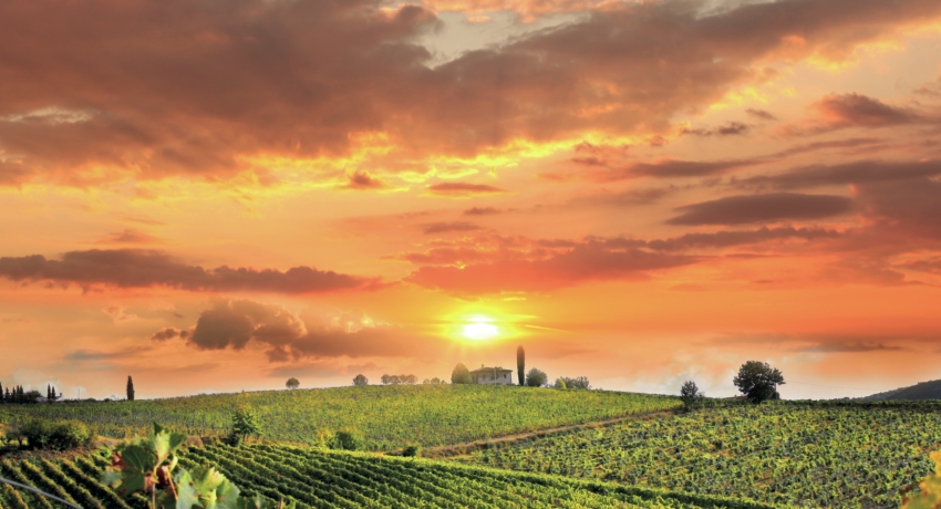 GRUGOLD Haupt - Goldener Herbst in der Toskana
