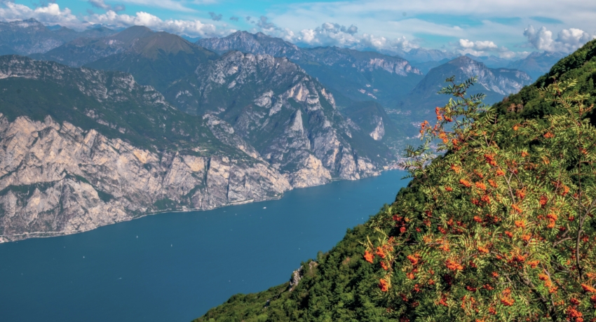 GRUGSEE Haupt - Gardasee