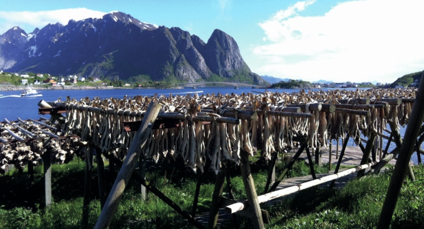 GVINORK 5 - Große Nordkap-Reise