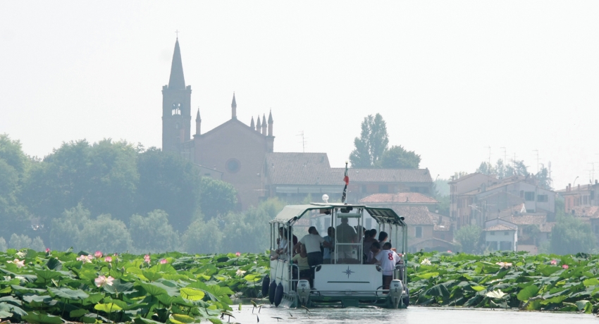 GRUROLO 2_Barcaioli 104-2_C_Agron Kozeli e Paolo Brutti - Mantua-Lotusblüten und Natur