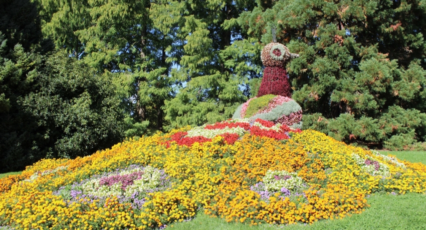 GZFRHMA 4 mainau- - Bodensee mit Insel Mainau