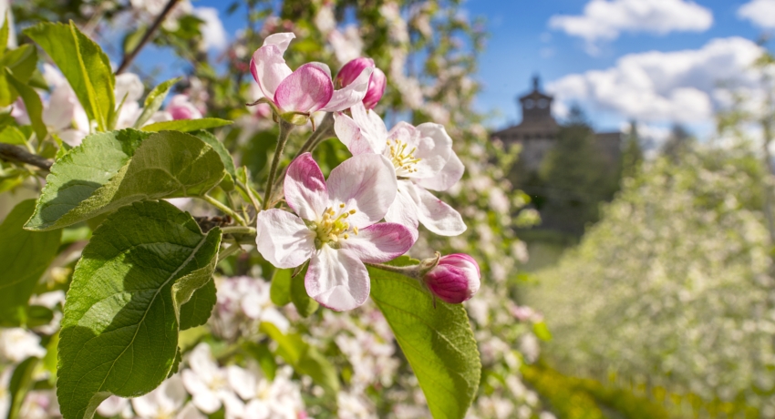 GZFSCHL 1 - Erlebnisreise 