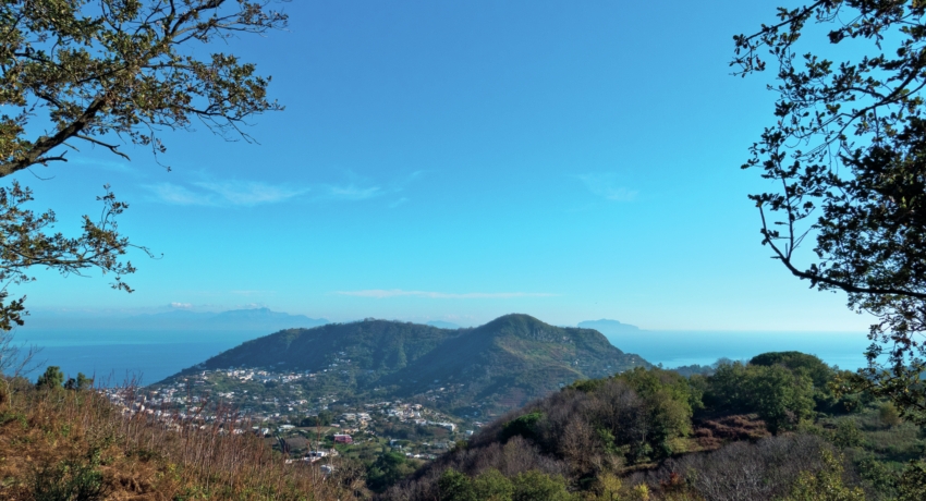 Ischia_Aussicht von Fiaiano shutterstock_1293847297 - Ischia Wanderreise